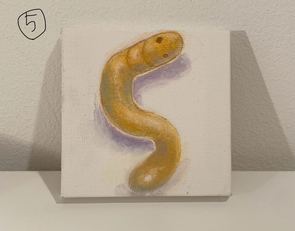 ミミズナンバ〜ズno.1〜no.5