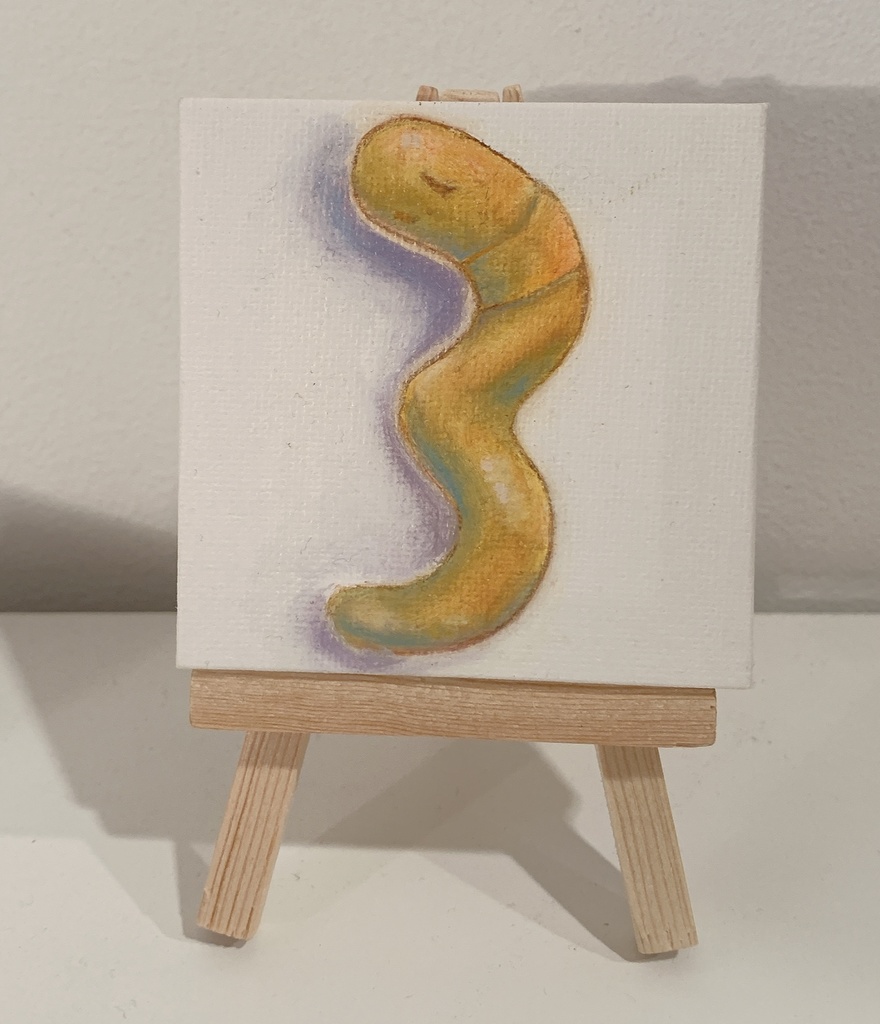 ミミズナンバ〜ズno.1〜no.5