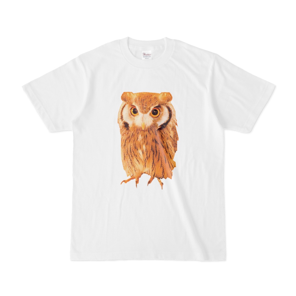 Tシャツ みみずく フクロウ