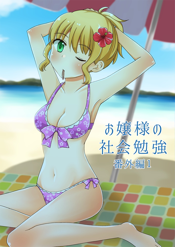 お嬢様の社会勉強 番外編1 DL
