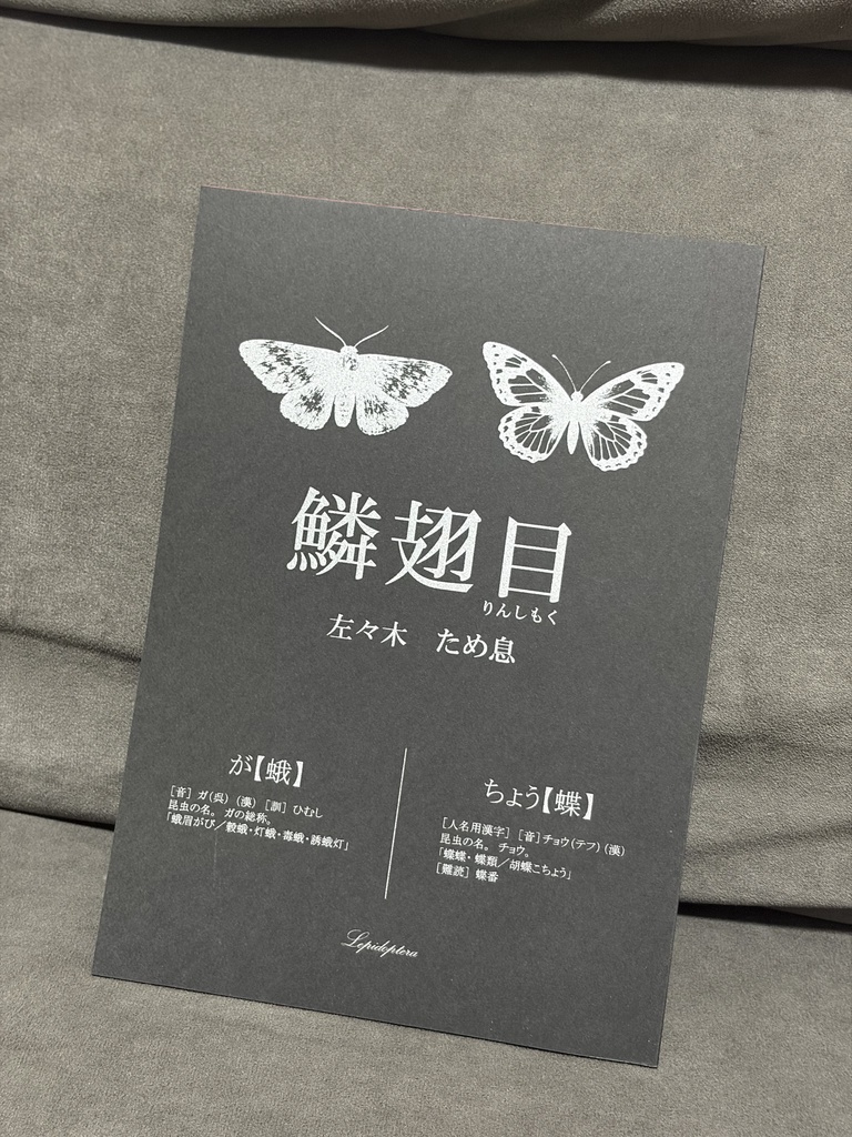 鱗翅目