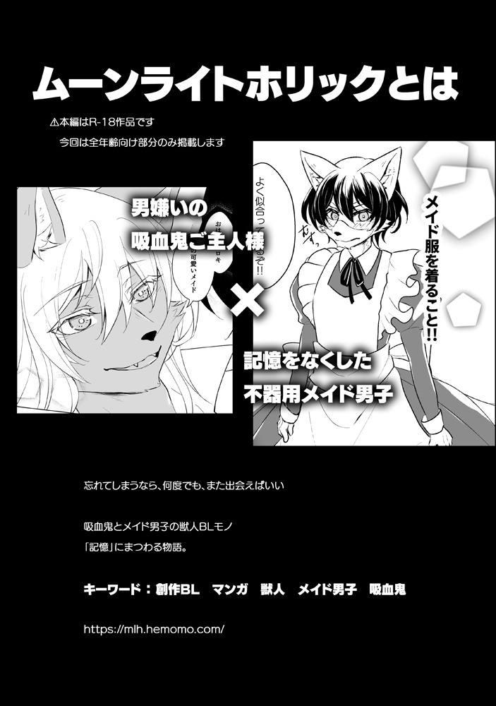【オリジナル】HEMORIZE HEMO Comics Introduction Book