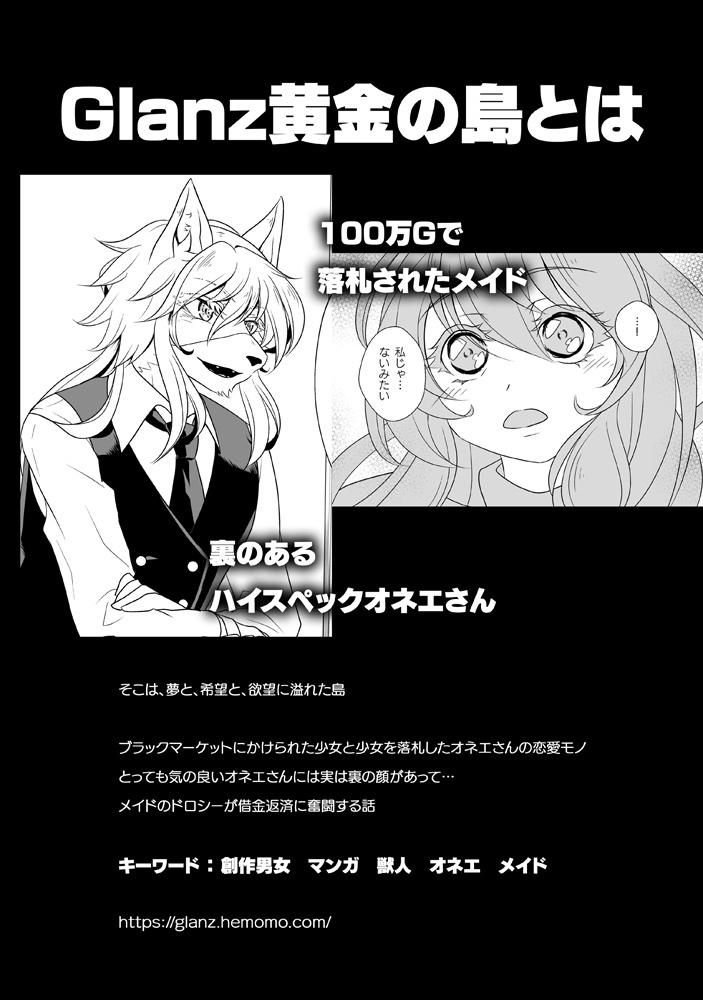 【オリジナル】HEMORIZE HEMO Comics Introduction Book