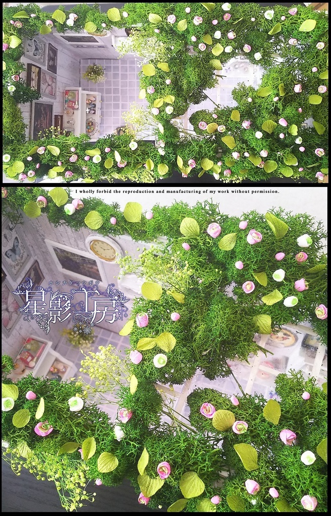 森で息づく優雅なアトリエ-蝶の収集家のアトリエ-(再々販)