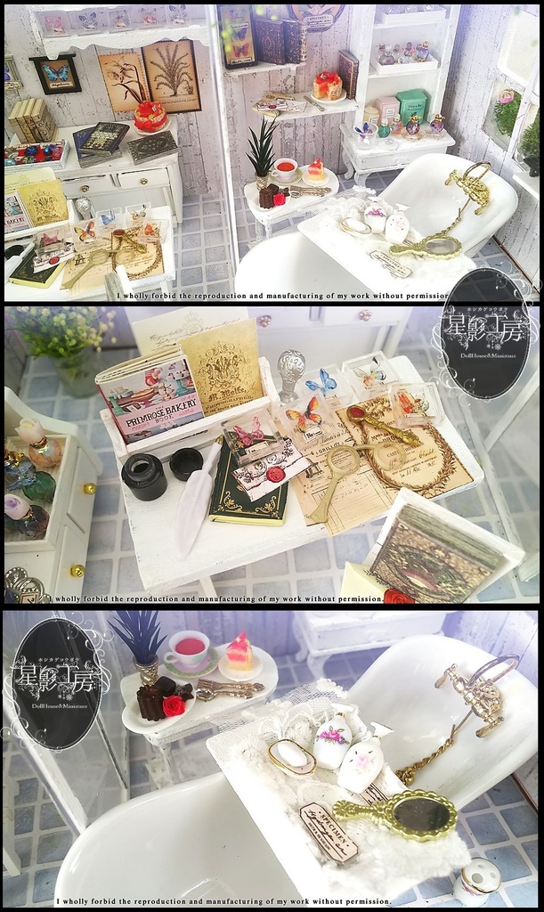 森で息づく優雅なアトリエ-蝶の収集家のアトリエ-(再々販)