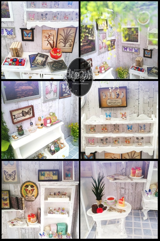 森で息づく優雅なアトリエ-蝶の収集家のアトリエ-(再々販)