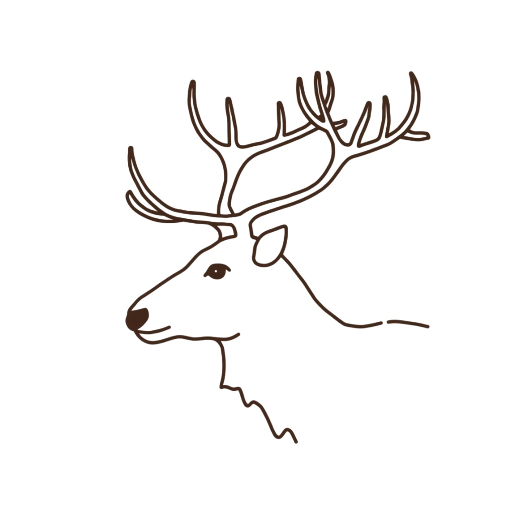 Christmas ClipArt Set|ナチュラルで大人可愛いクリスマスクリップアート20点セット(PNG・背景透過)