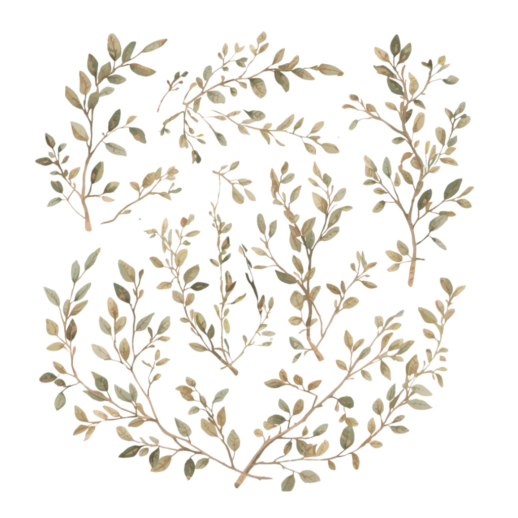 Natural Leaf & Acorn Clipart Set(ナチュラルリーフ&どんぐり素材集)20PNG