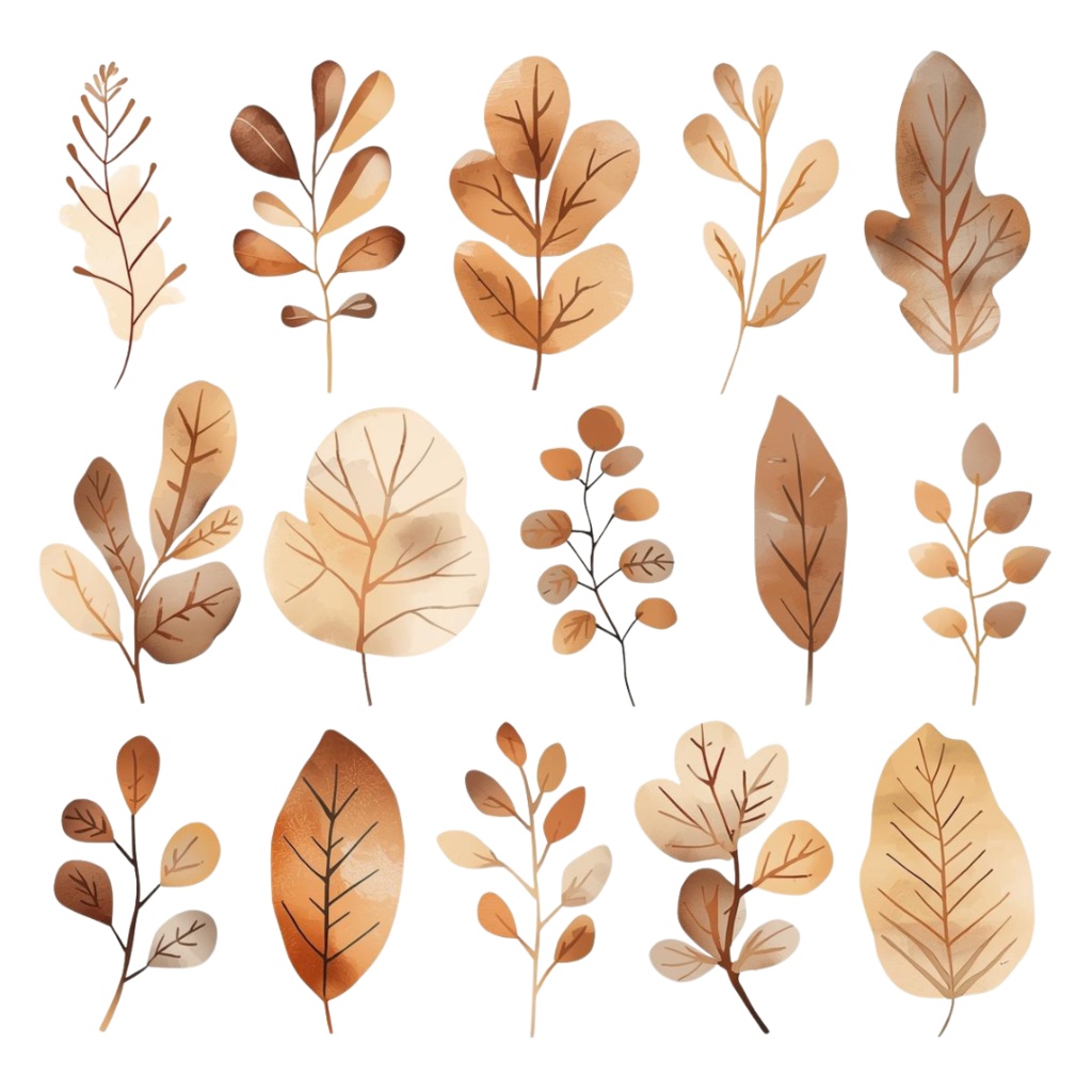 Natural Leaf & Acorn Clipart Set(ナチュラルリーフ&どんぐり素材集)20PNG