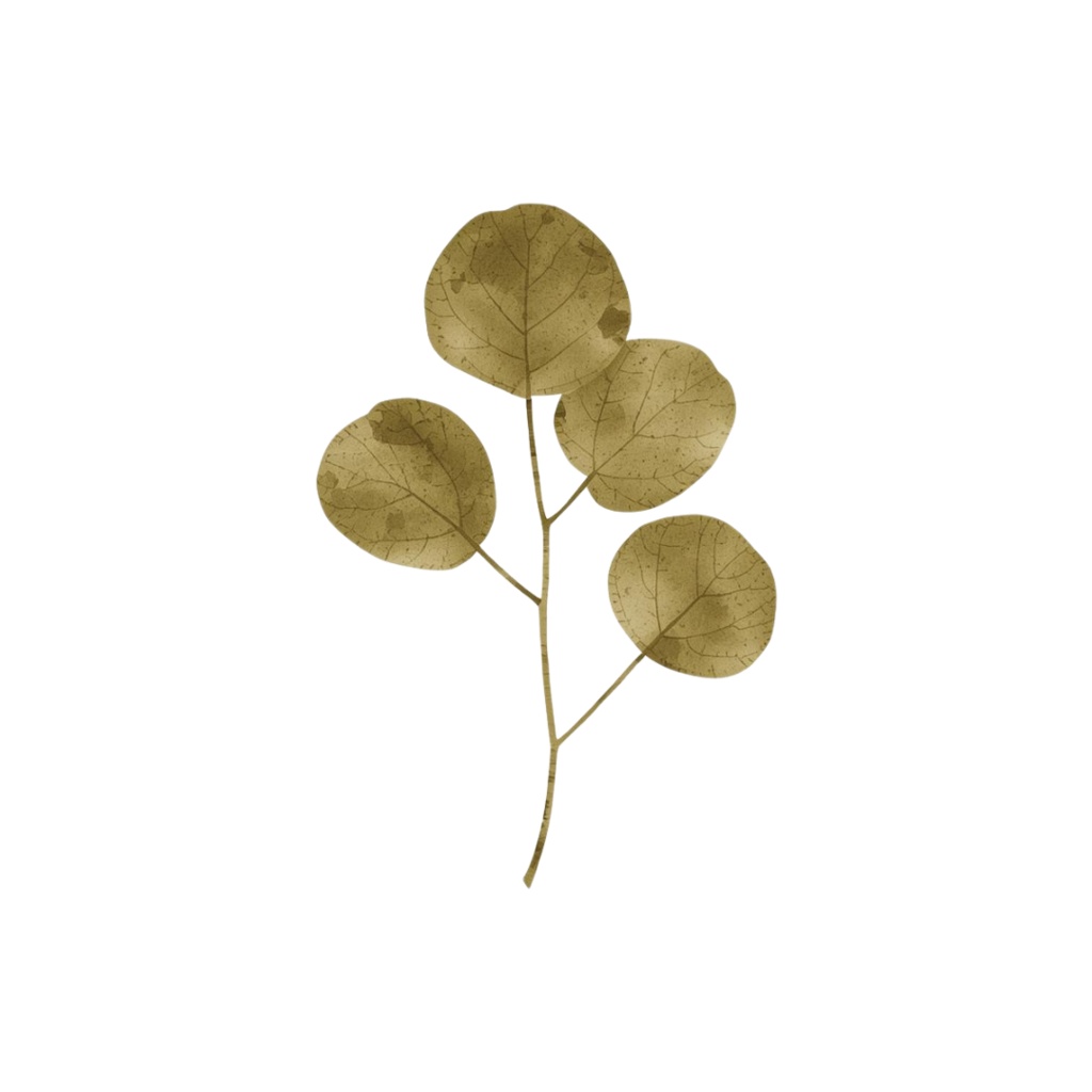 Natural Leaf & Acorn Clipart Set(ナチュラルリーフ&どんぐり素材集)20PNG