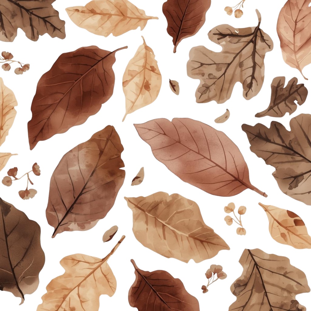 Natural Leaf & Acorn Clipart Set(ナチュラルリーフ&どんぐり素材集)20PNG