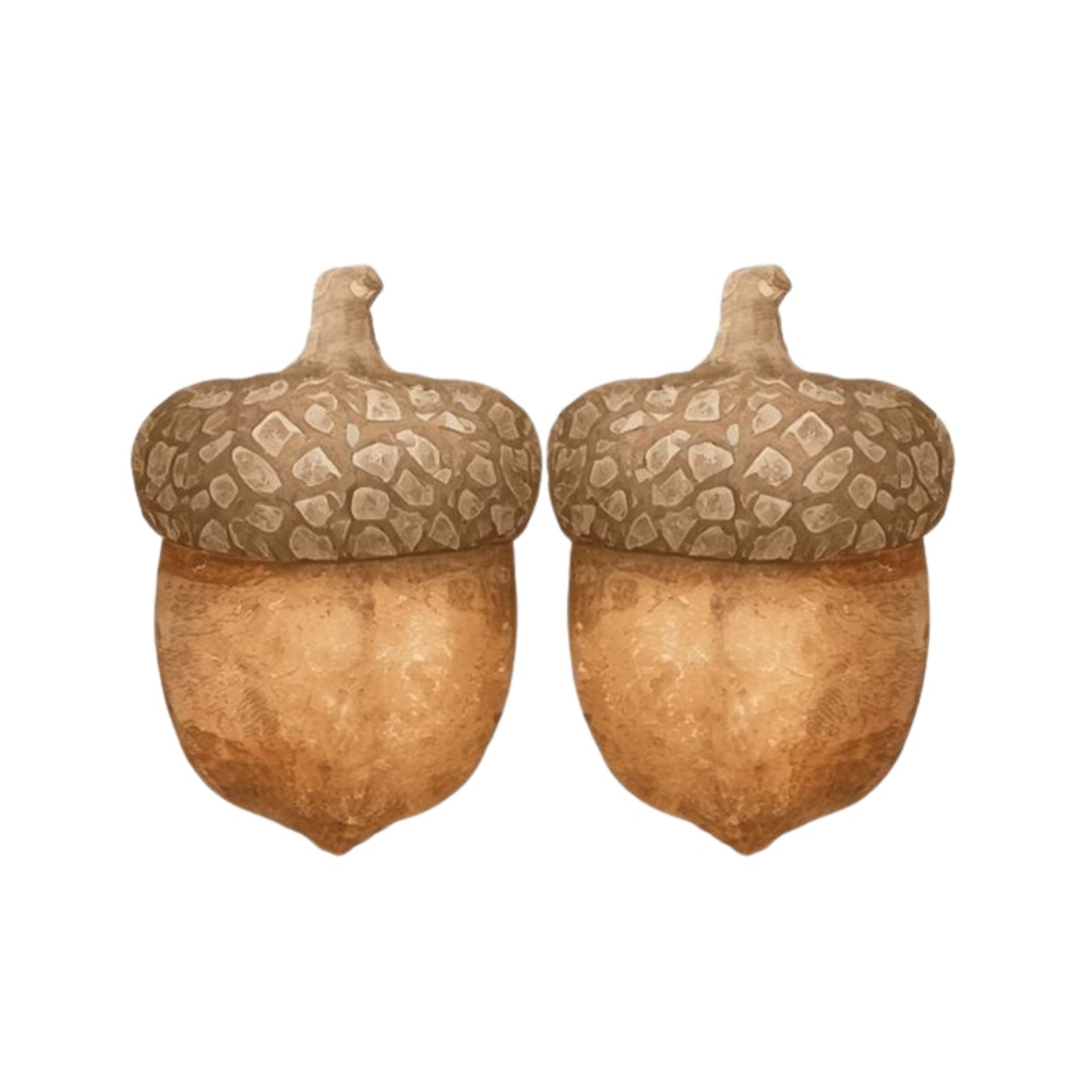 Natural Leaf & Acorn Clipart Set(ナチュラルリーフ&どんぐり素材集)20PNG