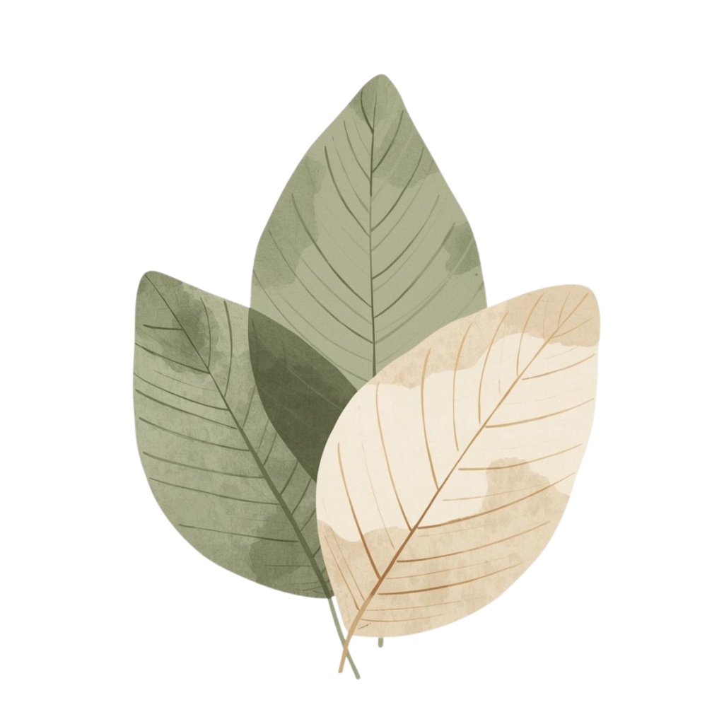 Natural Leaf & Acorn Clipart Set(ナチュラルリーフ&どんぐり素材集)20PNG