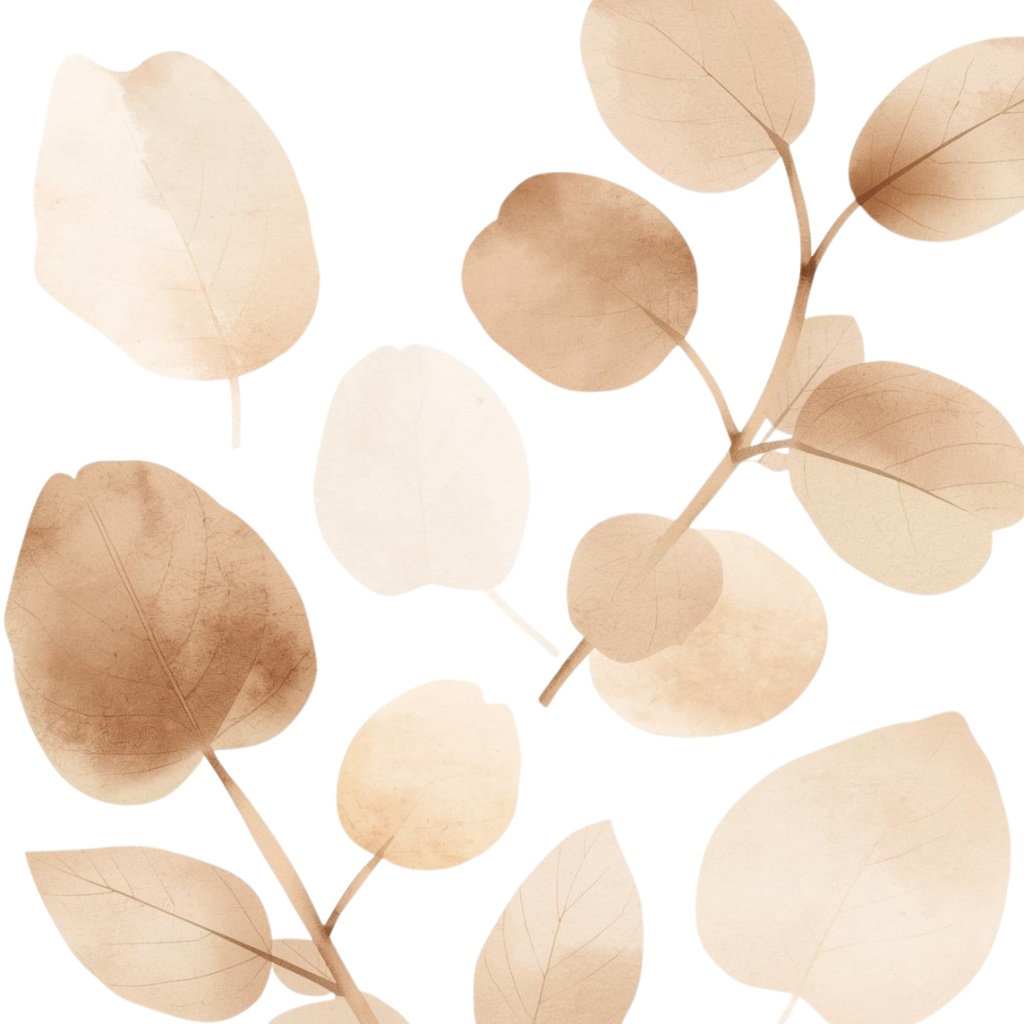 Natural Leaf & Acorn Clipart Set(ナチュラルリーフ&どんぐり素材集)20PNG