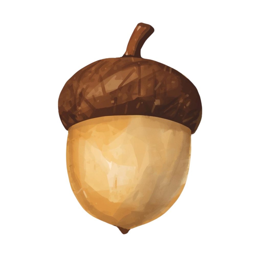 Natural Leaf & Acorn Clipart Set(ナチュラルリーフ&どんぐり素材集)20PNG