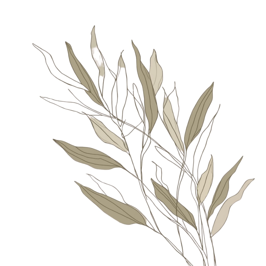 Natural Leaf & Acorn Clipart Set(ナチュラルリーフ&どんぐり素材集)20PNG