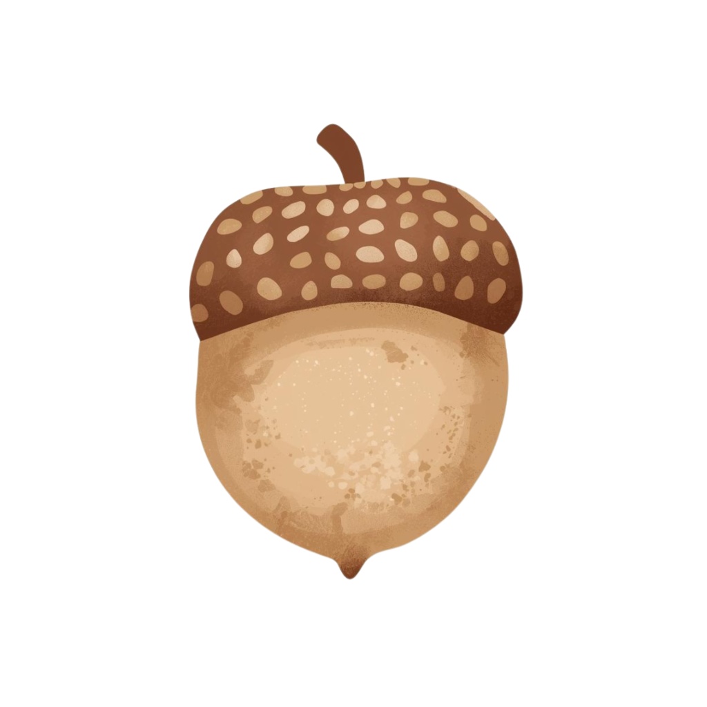 Natural Leaf & Acorn Clipart Set(ナチュラルリーフ&どんぐり素材集)20PNG