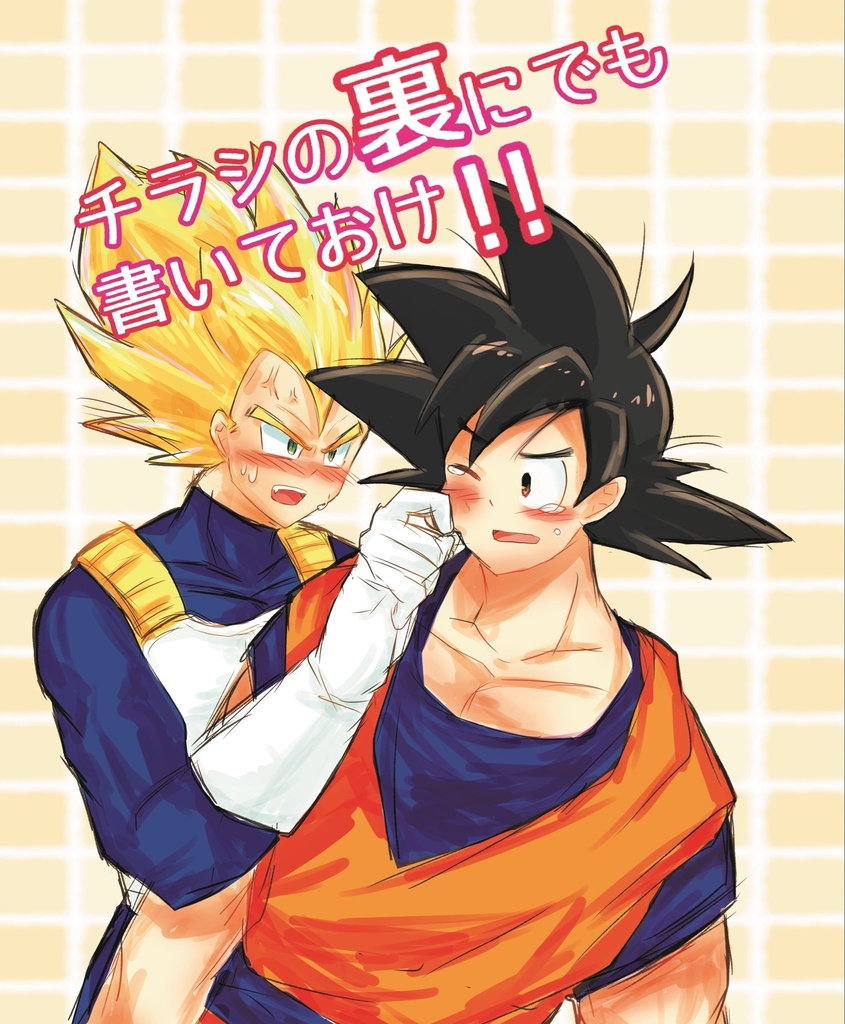 チラシの裏にでも書いておけ！！