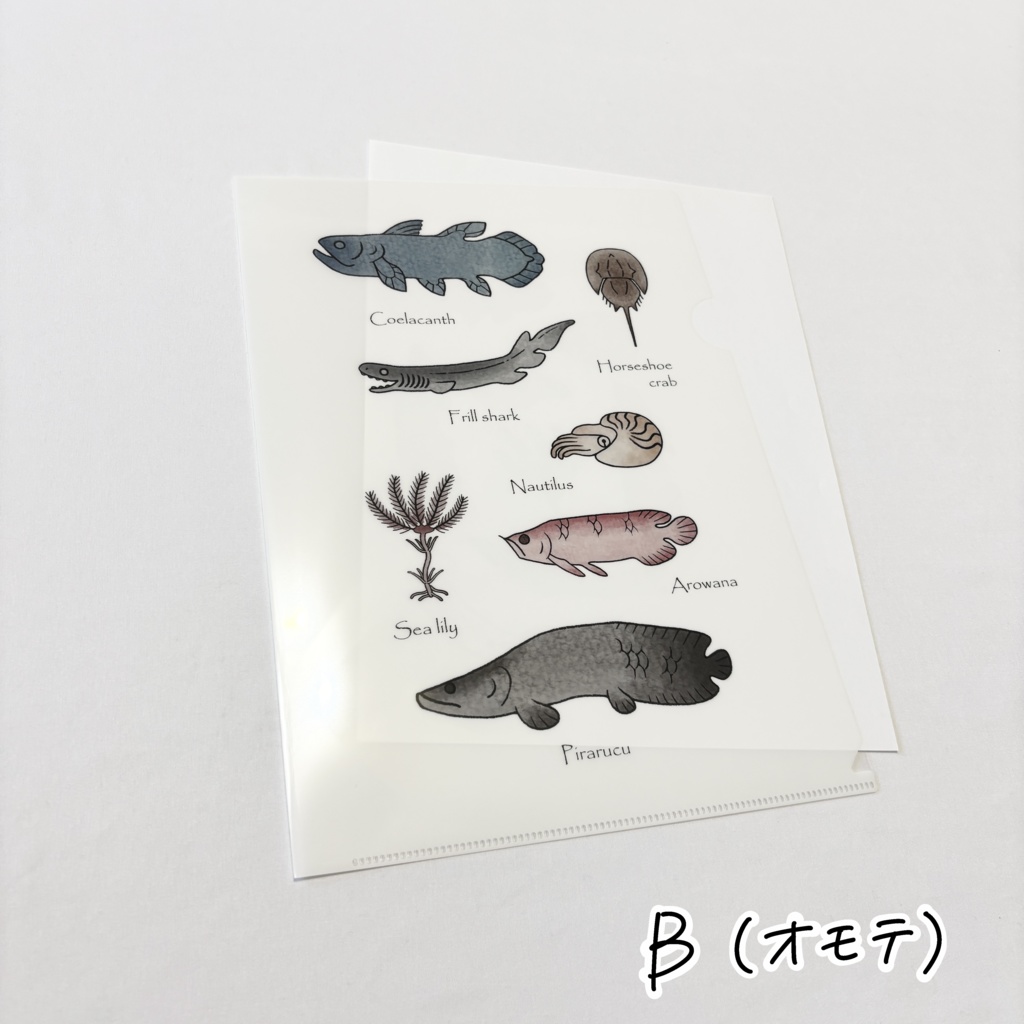 クリアファイル