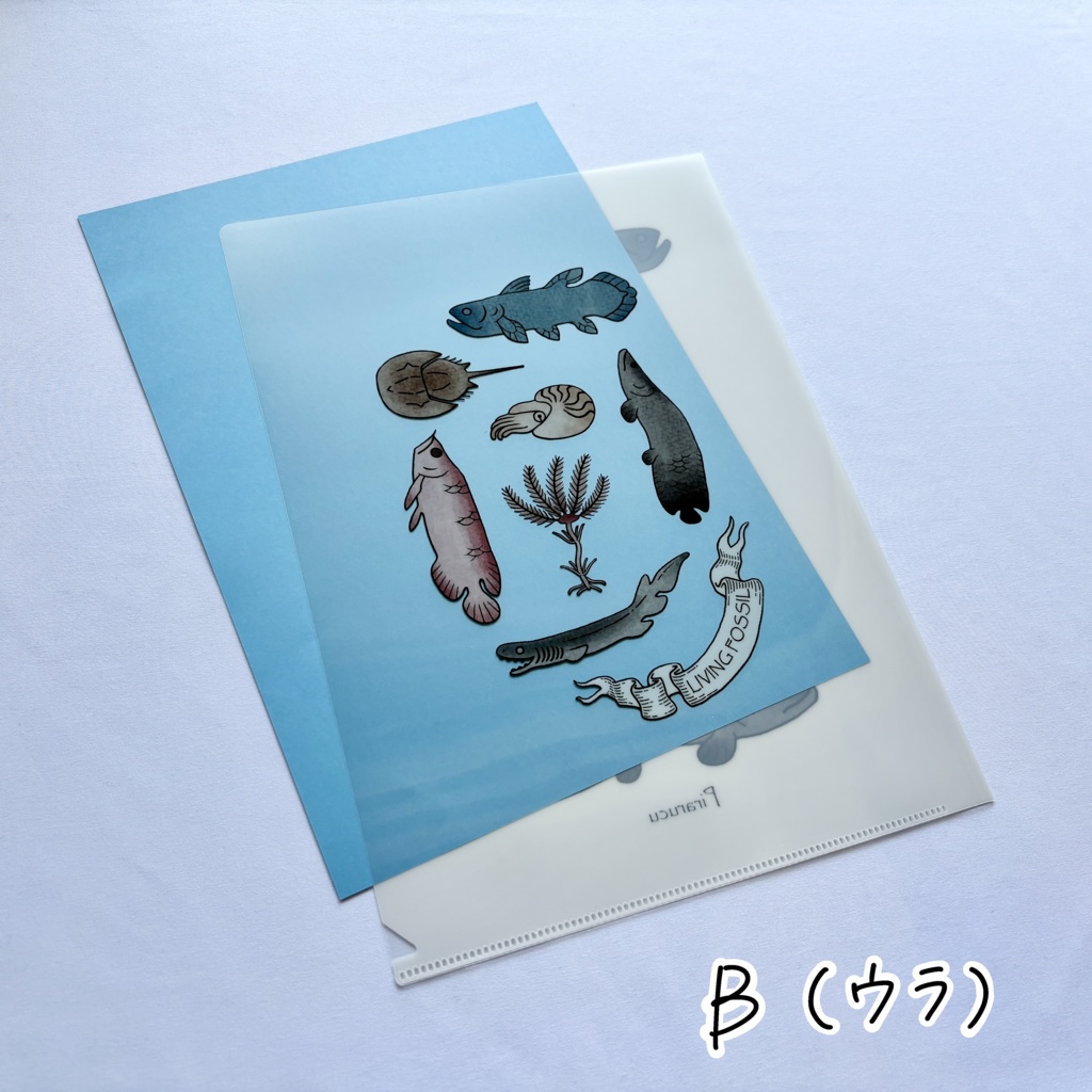 クリアファイル