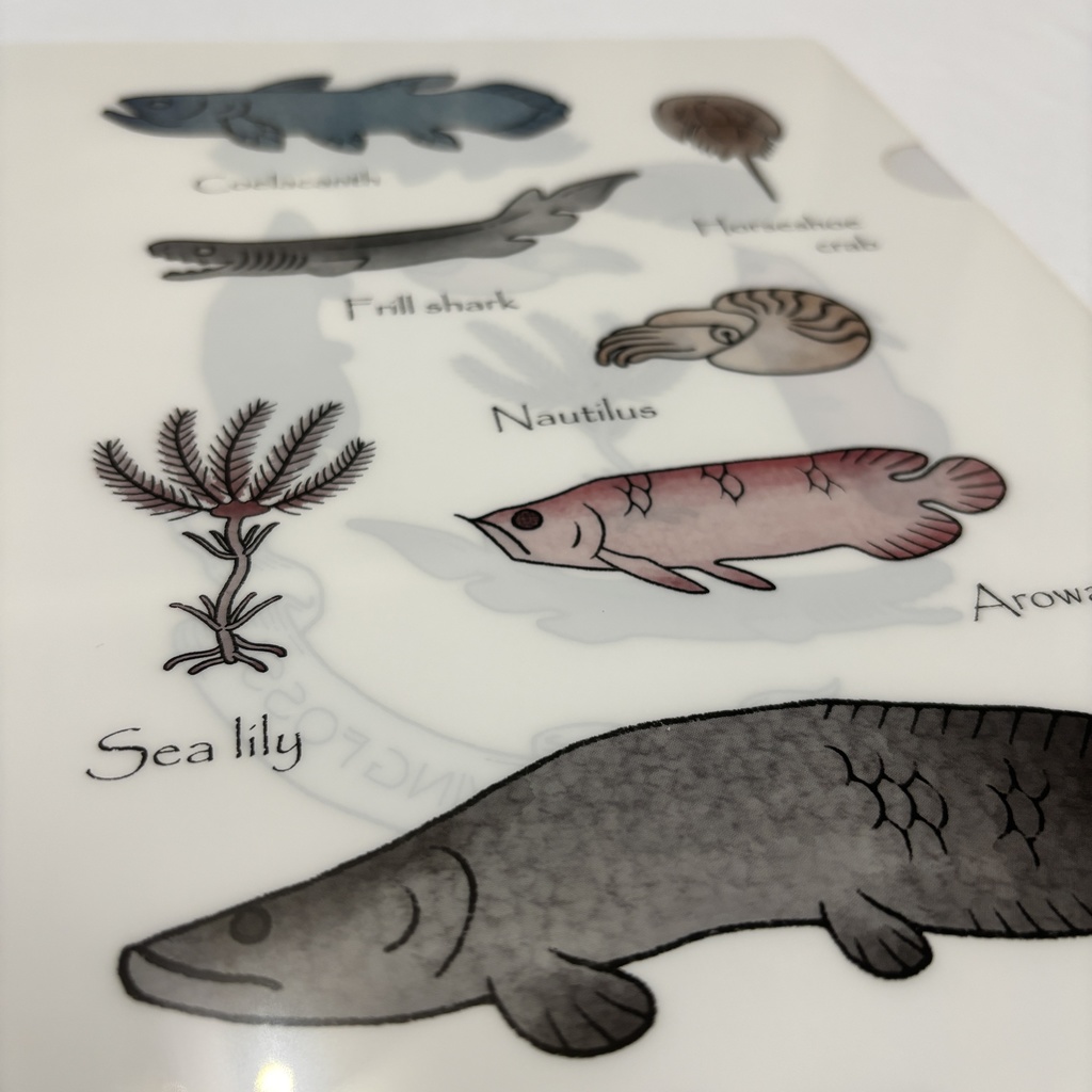 クリアファイル