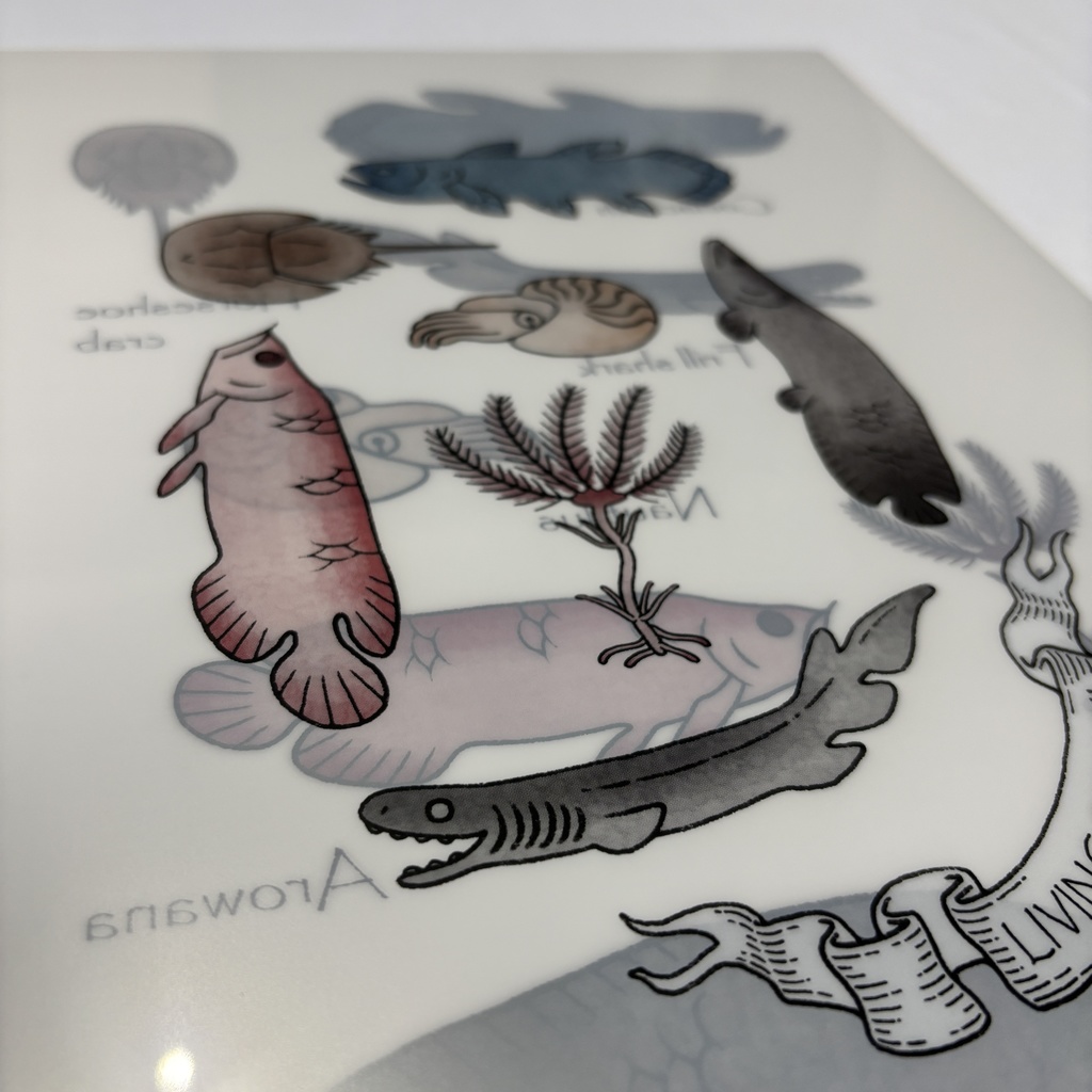 クリアファイル