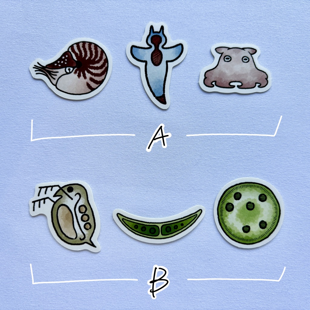 フレークシール