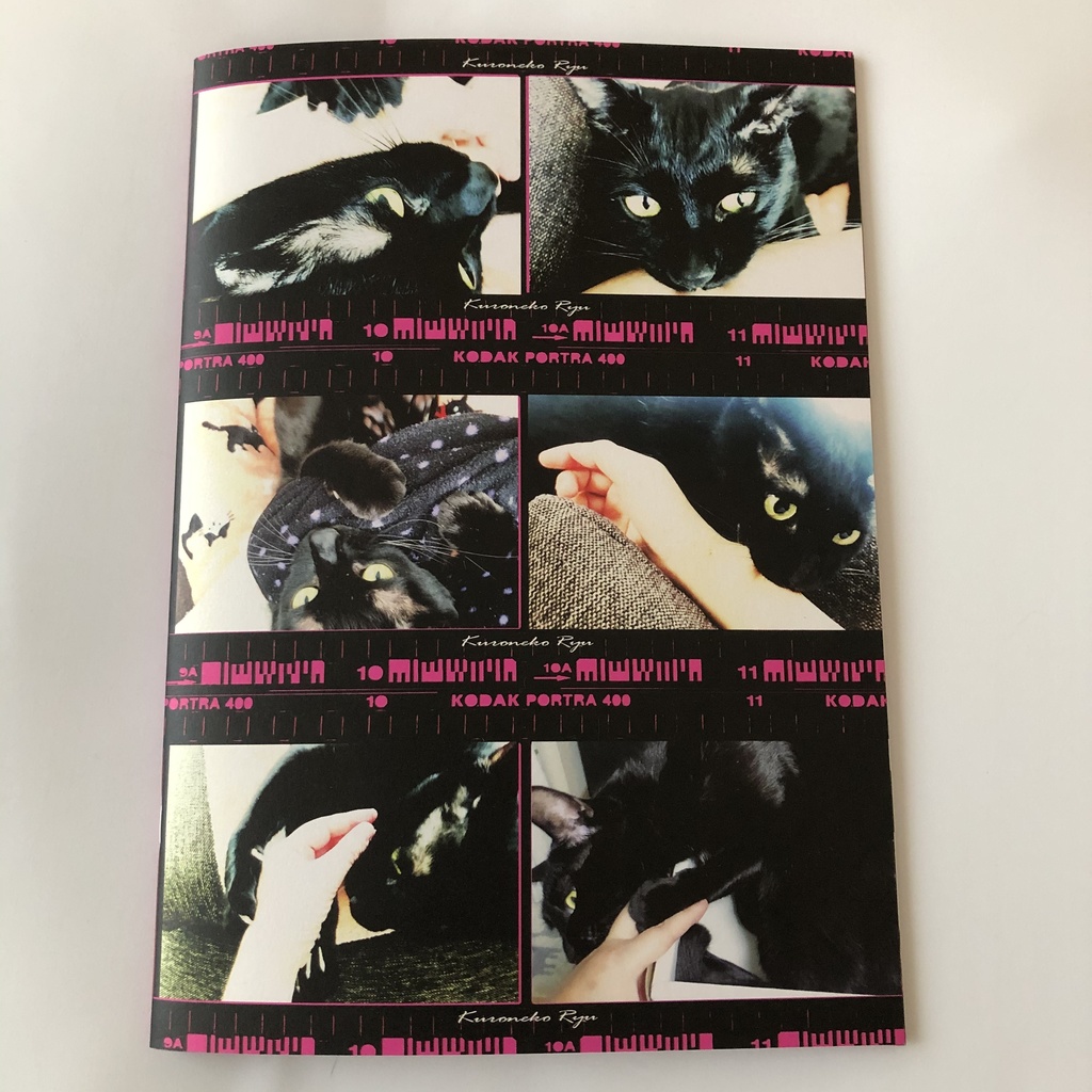 『私が猫に噛まれているだけの本』