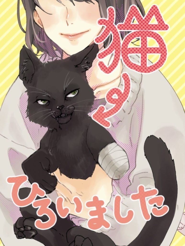 猫ひろいました