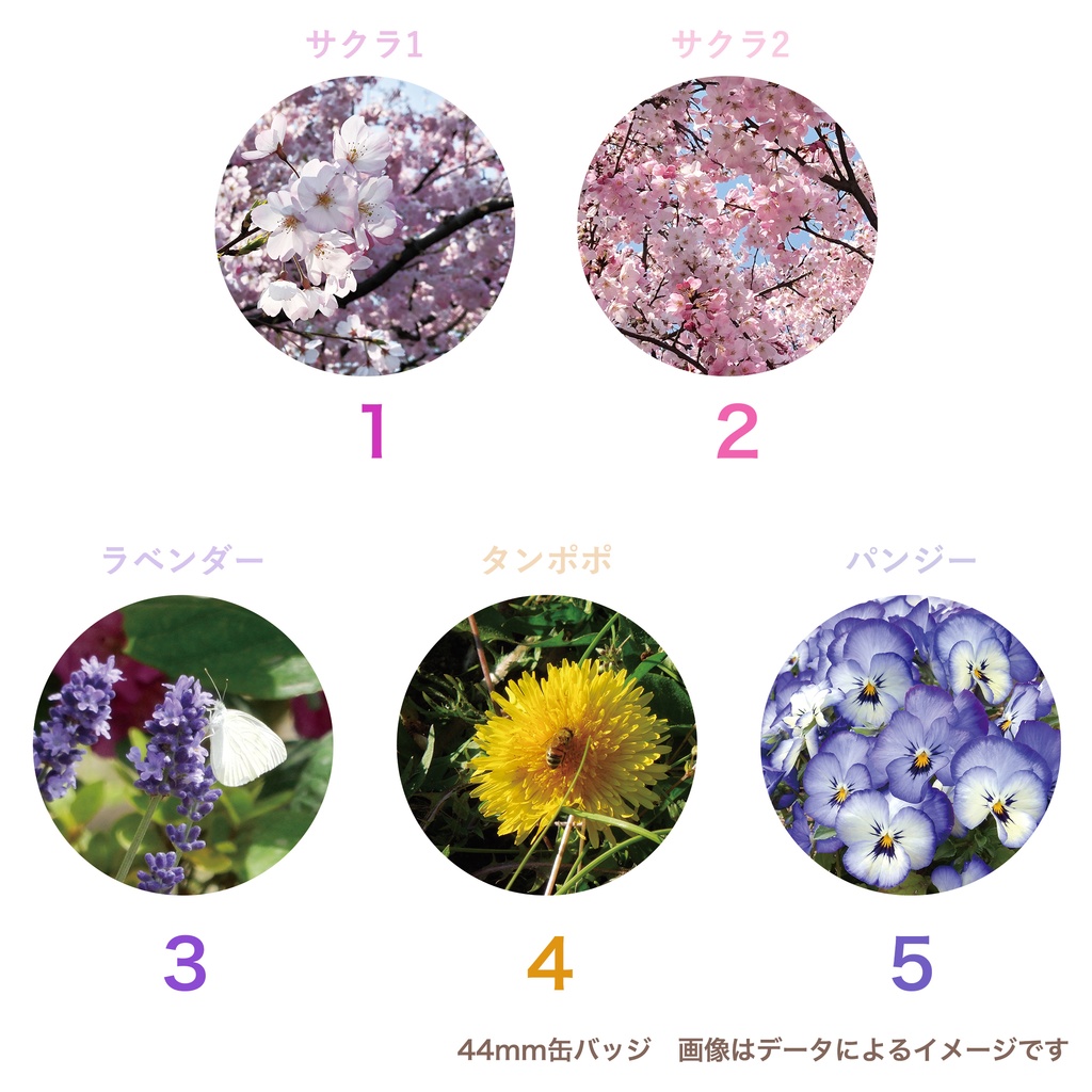 花の写真 44mm缶バッジ