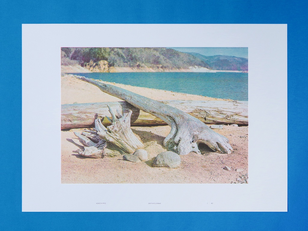 RISOGRAPH POSTER 『dent and undead』: A