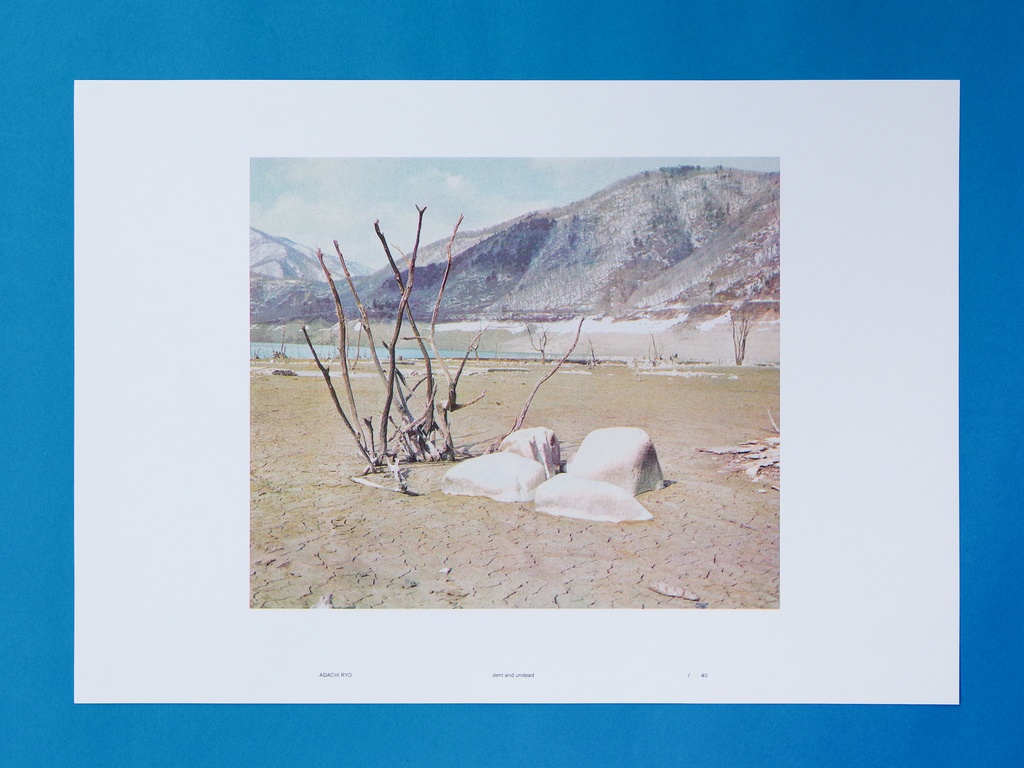 RISOGRAPH POSTER 『dent and undead』: C