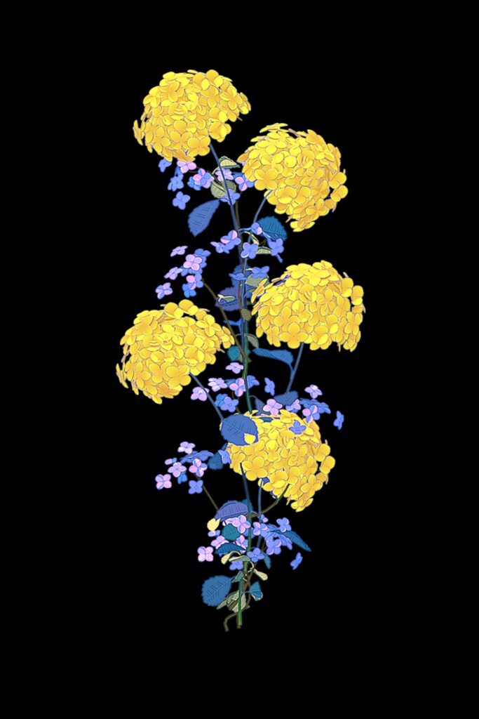 hydrangea and other whimsical flowers