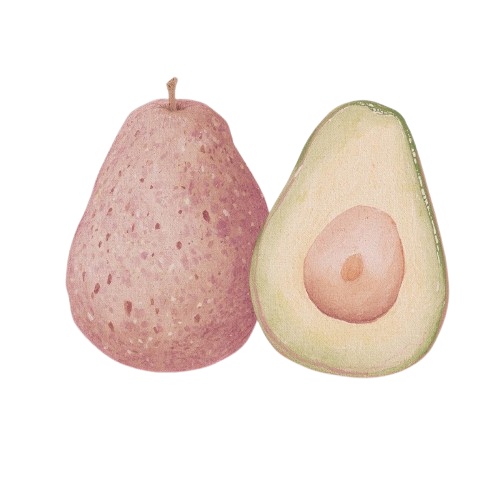 【アボカドパーティー】アンティーク調アボカド水彩クリップアート10点セット(PNG透過)