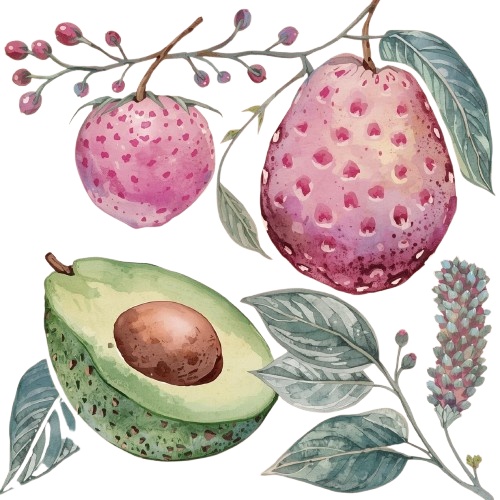 【アボカドパーティー】アンティーク調アボカド水彩クリップアート10点セット(PNG透過)