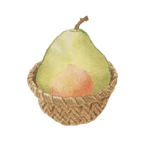 【アボカドパーティー】アンティーク調アボカド水彩クリップアート10点セット(PNG透過)