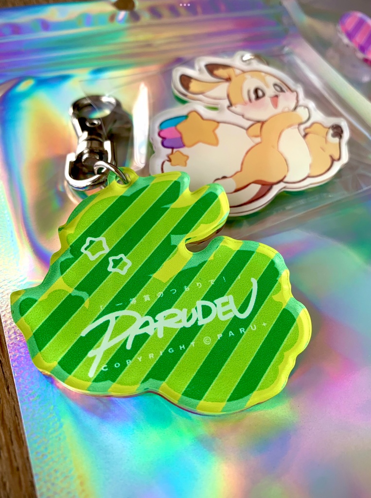 おさんぽアクリルキーホルダー👟🐾全2種