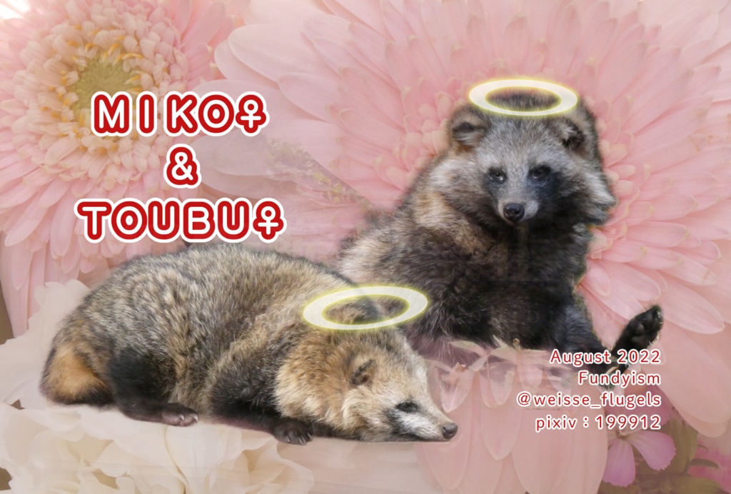 ネップリ代行印刷