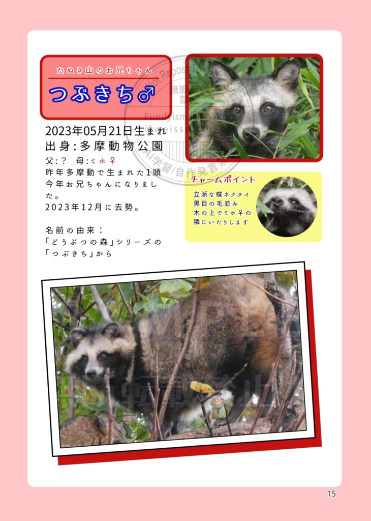 たぬき山の子どもたち