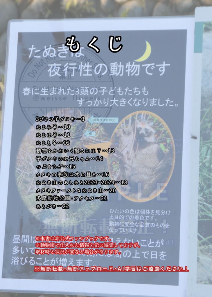 たぬき山の子どもたち