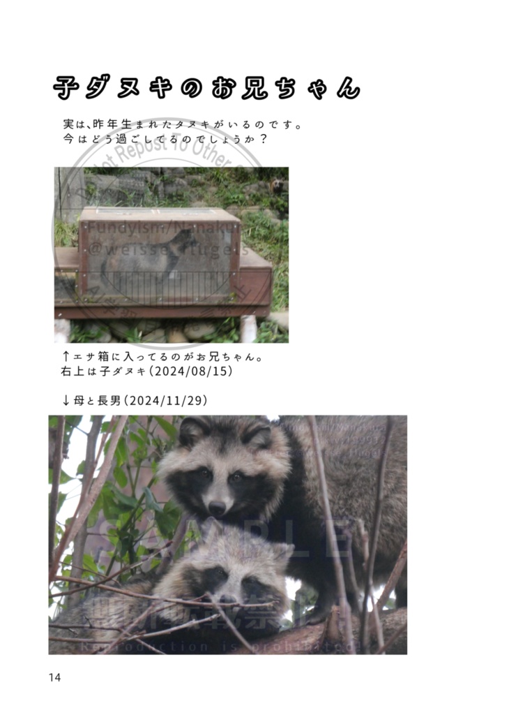 たぬき山の子どもたち