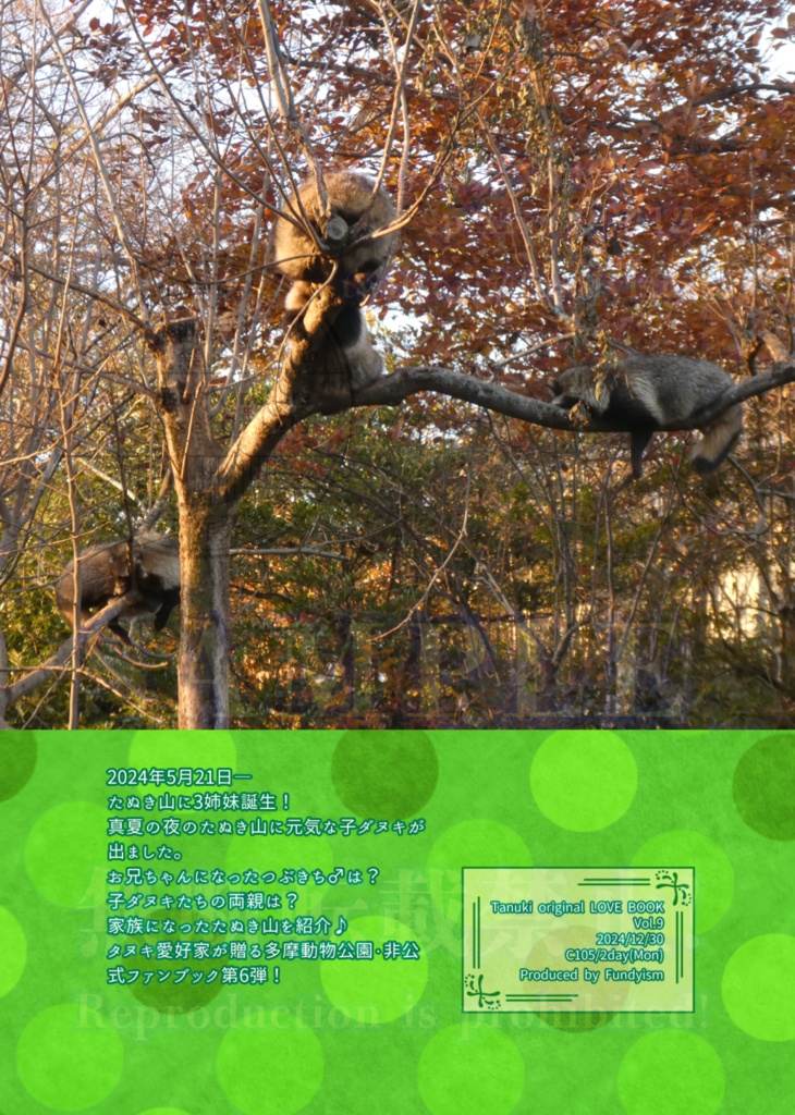 たぬき山の子どもたち