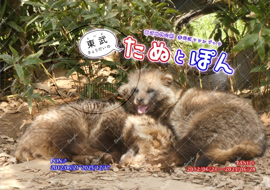 東武きょうだいのたぬとぽん