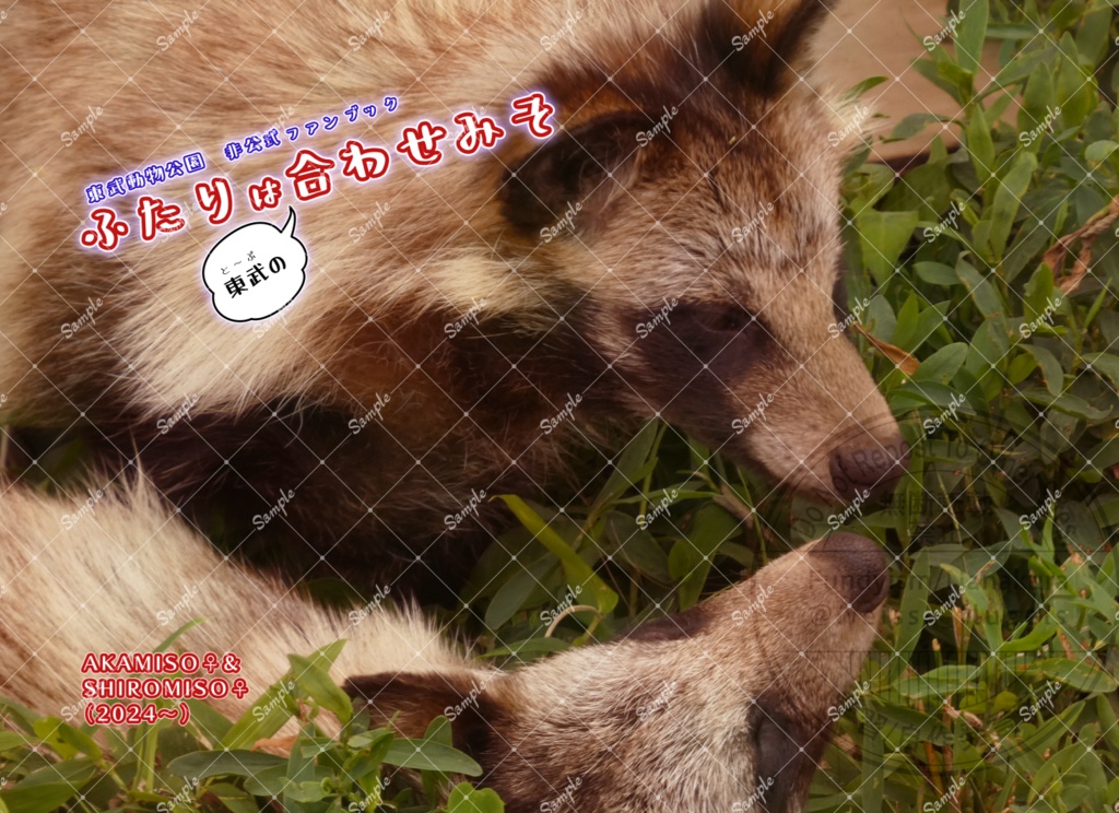 ふたりは東武の合わせみそ