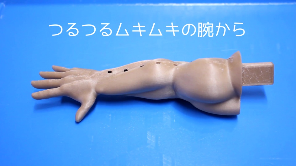 【初詣に行けない人へ】 発毛腕(八ツ毛腕) 8本の毛が発毛する腕 初詣