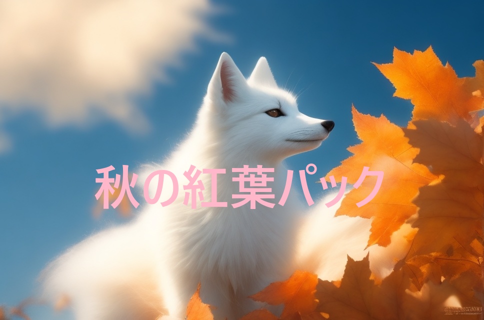 秋の紅葉パック