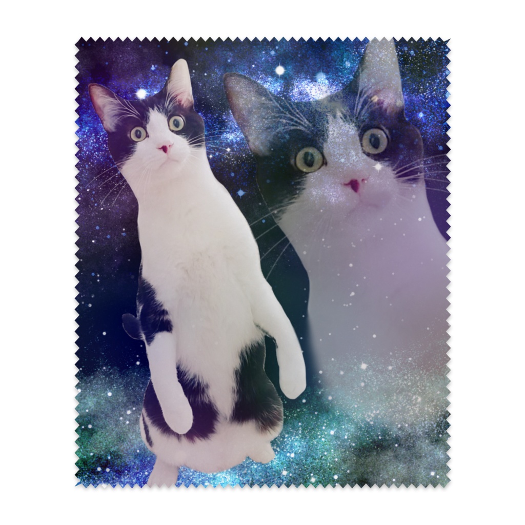 宇宙猫めがね拭き