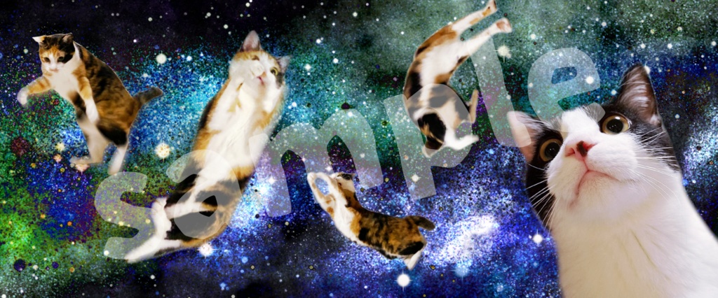 宇宙猫サコッシュ