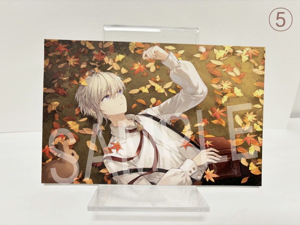 創作イラストカード(11種類)