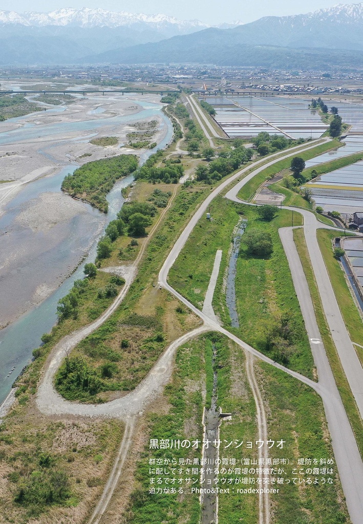 テクノスケープガイド2023夏(電子版)